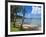 Beach in Noumea, New Caledonia, Melanesia, South Pacific, Pacific-Michael Runkel-Framed Photographic Print