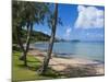 Beach in Noumea, New Caledonia, Melanesia, South Pacific, Pacific-Michael Runkel-Mounted Photographic Print