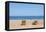 Beach in Olympos, Antalya, Turkey-Ali Kabas-Framed Stretched Canvas