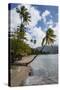 Beach in Prince Rupert Bay, Dominica, West Indies, Caribbean, Central America-Michael Runkel-Stretched Canvas