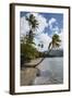 Beach in Prince Rupert Bay, Dominica, West Indies, Caribbean, Central America-Michael Runkel-Framed Photographic Print