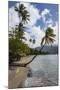 Beach in Prince Rupert Bay, Dominica, West Indies, Caribbean, Central America-Michael Runkel-Mounted Photographic Print