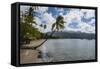 Beach in Prince Rupert Bay, Dominica, West Indies, Caribbean, Central America-Michael Runkel-Framed Stretched Canvas