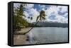Beach in Prince Rupert Bay, Dominica, West Indies, Caribbean, Central America-Michael Runkel-Framed Stretched Canvas