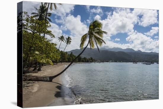 Beach in Prince Rupert Bay, Dominica, West Indies, Caribbean, Central America-Michael Runkel-Stretched Canvas