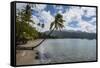 Beach in Prince Rupert Bay, Dominica, West Indies, Caribbean, Central America-Michael Runkel-Framed Stretched Canvas