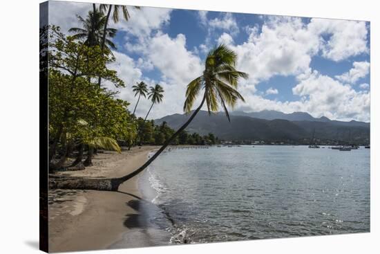 Beach in Prince Rupert Bay, Dominica, West Indies, Caribbean, Central America-Michael Runkel-Stretched Canvas