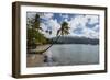 Beach in Prince Rupert Bay, Dominica, West Indies, Caribbean, Central America-Michael Runkel-Framed Photographic Print