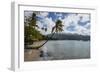 Beach in Prince Rupert Bay, Dominica, West Indies, Caribbean, Central America-Michael Runkel-Framed Photographic Print