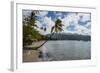 Beach in Prince Rupert Bay, Dominica, West Indies, Caribbean, Central America-Michael Runkel-Framed Photographic Print