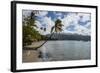 Beach in Prince Rupert Bay, Dominica, West Indies, Caribbean, Central America-Michael Runkel-Framed Photographic Print