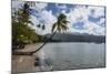 Beach in Prince Rupert Bay, Dominica, West Indies, Caribbean, Central America-Michael Runkel-Mounted Photographic Print