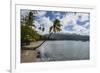 Beach in Prince Rupert Bay, Dominica, West Indies, Caribbean, Central America-Michael Runkel-Framed Photographic Print