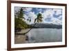 Beach in Prince Rupert Bay, Dominica, West Indies, Caribbean, Central America-Michael Runkel-Framed Photographic Print