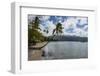 Beach in Prince Rupert Bay, Dominica, West Indies, Caribbean, Central America-Michael Runkel-Framed Photographic Print