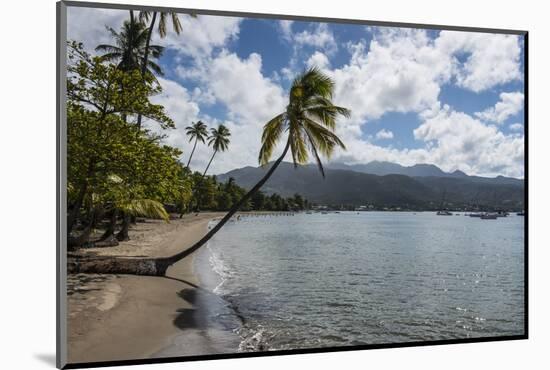 Beach in Prince Rupert Bay, Dominica, West Indies, Caribbean, Central America-Michael Runkel-Mounted Photographic Print