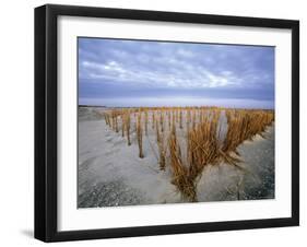 Beach in the Early Morning, Darss, Mecklenburg-Vorpommern, Germany-Thorsten Milse-Framed Photographic Print