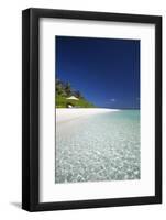 Beach in the Maldives, Indian Ocean-Sakis Papadopoulos-Framed Photographic Print