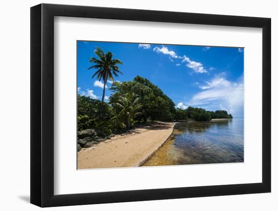 Beach in the North of the Island of Babeldoab, Palau, Central Pacific, Pacific-Michael Runkel-Framed Photographic Print