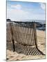 Beach, La Cotiniere, Ile d'Oleron, Charente-Maritime, Poitou Charentes, France-David Hughes-Mounted Photographic Print