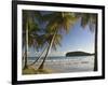 Beach, La Sagesse Estate, Grenada, Caribbean-Walter Bibikow-Framed Photographic Print
