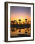 Beach, Lagoon, Silhouette, Palms, Sunset-Thonig-Framed Photographic Print