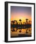 Beach, Lagoon, Silhouette, Palms, Sunset-Thonig-Framed Photographic Print