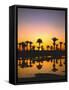 Beach, Lagoon, Silhouette, Palms, Sunset-Thonig-Framed Stretched Canvas