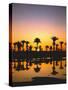 Beach, Lagoon, Silhouette, Palms, Sunset-Thonig-Stretched Canvas