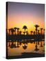 Beach, Lagoon, Silhouette, Palms, Sunset-Thonig-Stretched Canvas