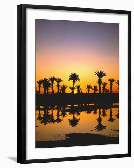 Beach, Lagoon, Silhouette, Palms, Sunset-Thonig-Framed Photographic Print