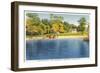 Beach, Lake Quassapaug, Waterbury, Connecticut-null-Framed Art Print