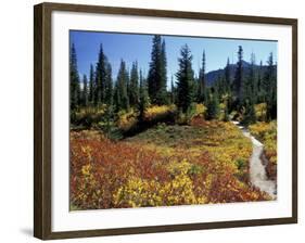 Beach Lake Trail with Fall Color, Mt. Rainier National Park, Washington, USA-Jamie & Judy Wild-Framed Photographic Print