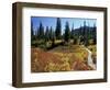 Beach Lake Trail with Fall Color, Mt. Rainier National Park, Washington, USA-Jamie & Judy Wild-Framed Photographic Print