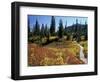 Beach Lake Trail with Fall Color, Mt. Rainier National Park, Washington, USA-Jamie & Judy Wild-Framed Photographic Print