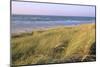 Beach, Langeoog, East Frisian Islands, Lower Saxony, Germany-null-Mounted Art Print