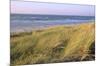 Beach, Langeoog, East Frisian Islands, Lower Saxony, Germany-null-Mounted Art Print