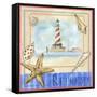 Beach Life II-Fiona Stokes-Gilbert-Framed Stretched Canvas