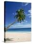 Beach, Mahe, Seychelles, Indian Ocean, Africa-Robert Harding-Stretched Canvas