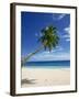 Beach, Mahe, Seychelles, Indian Ocean, Africa-Robert Harding-Framed Photographic Print