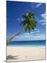 Beach, Mahe, Seychelles, Indian Ocean, Africa-Robert Harding-Mounted Photographic Print