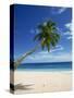 Beach, Mahe, Seychelles, Indian Ocean, Africa-Robert Harding-Stretched Canvas