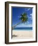 Beach, Mahe, Seychelles, Indian Ocean, Africa-Robert Harding-Framed Photographic Print