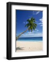 Beach, Mahe, Seychelles, Indian Ocean, Africa-Robert Harding-Framed Photographic Print