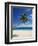 Beach, Mahe, Seychelles, Indian Ocean, Africa-Robert Harding-Framed Photographic Print