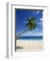 Beach, Mahe, Seychelles, Indian Ocean, Africa-Robert Harding-Framed Photographic Print