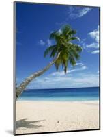 Beach, Mahe, Seychelles, Indian Ocean, Africa-Robert Harding-Mounted Photographic Print