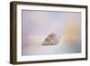 Beach Memories 2-Jai Johnson-Framed Giclee Print