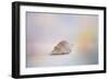 Beach Memories 2-Jai Johnson-Framed Giclee Print