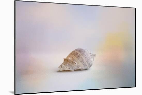 Beach Memories 2-Jai Johnson-Mounted Giclee Print